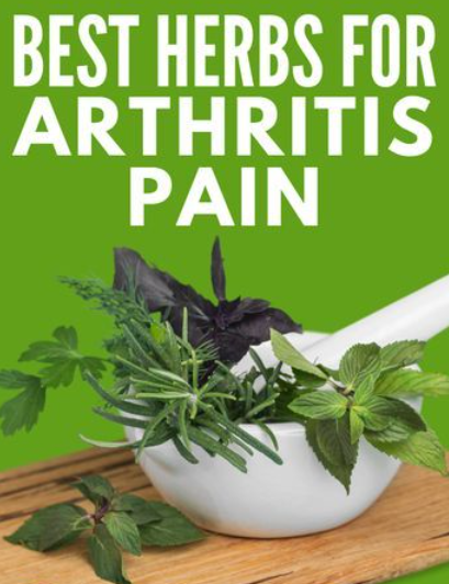 5 Best Herbs for Arthritis and Joint Pain