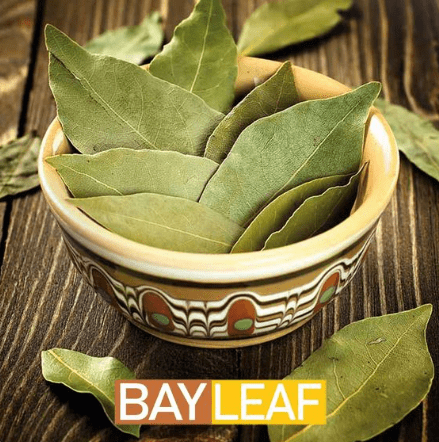 Say goodbye to flies