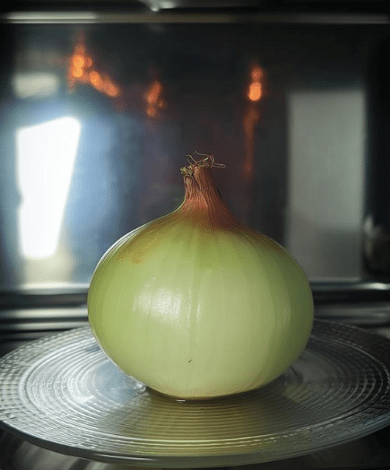Put the ONION in the Microwave,