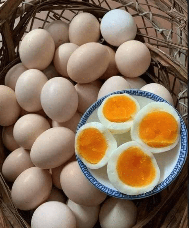 Which Egg Came from a Healthy Chicken ? Learn How to Spot the Difference — Color, Yolk Texture, and Shell Strength Tell the Real Story! 🐔💛