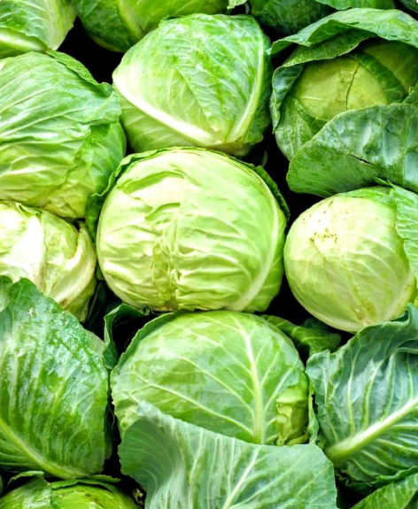 The 4 Types of People Who Shouldn't Eat Cabbage