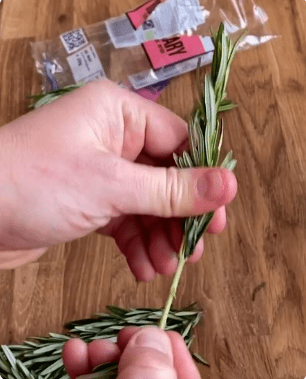 Stop Wasting Money at the Pharmacy! Rosemary Solves These Common Problems