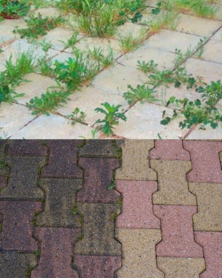 How to Remove Weeds from Your Garden or Yard Forever