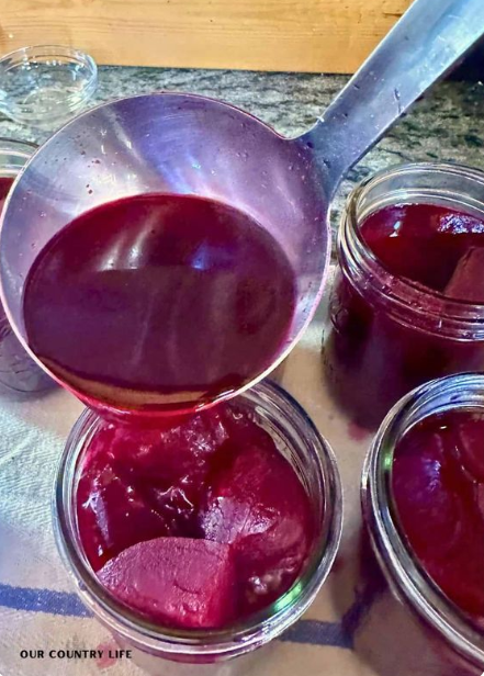 Pickled Beets Recipes
