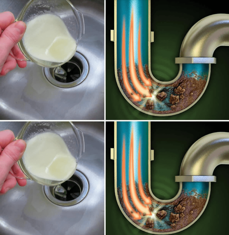 Natural Ingredients That Work