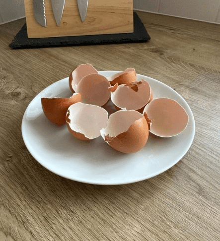 Stop Throwing Them Away