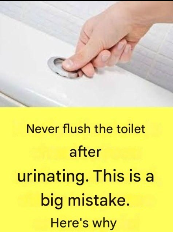 Why Is It Extremely Important Not to Flush the Toilet After Every Urination?